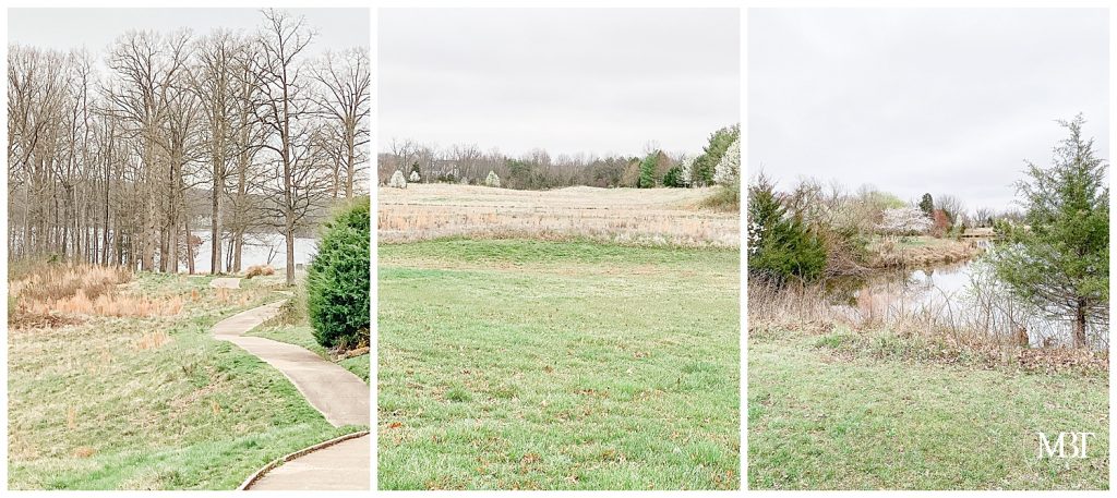 location options for DIY maternity photoshoot