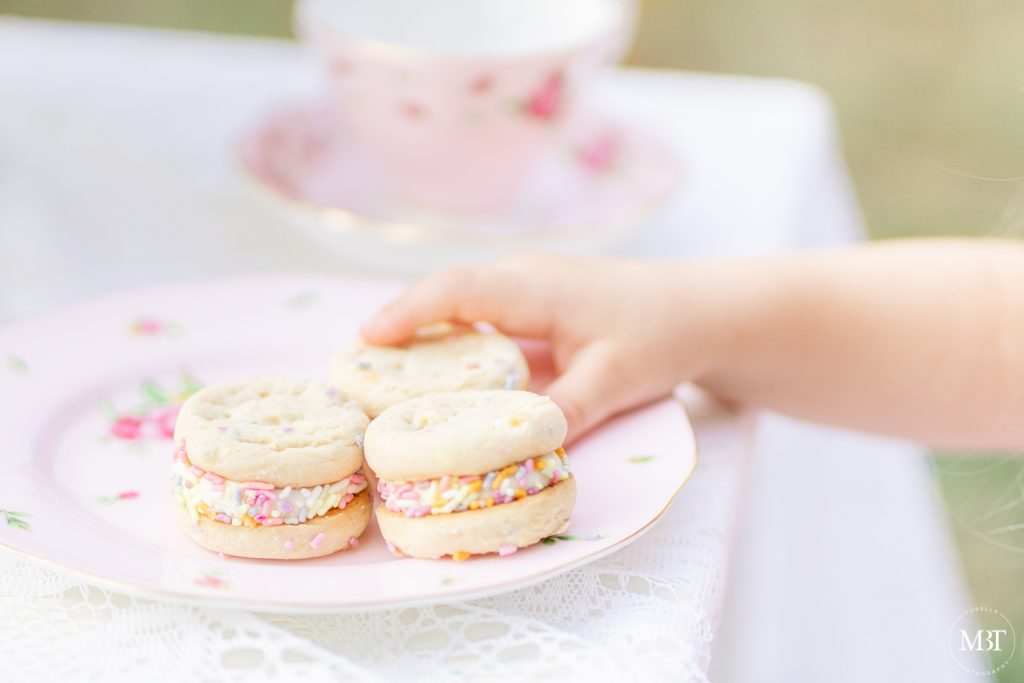 girl holding macarons taken at Ellanor Lawrence Park by a Washington, DC family photographer