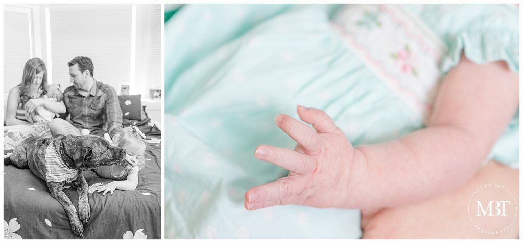 family of 5, including dog, during their at home newborn pictures taken in Springfield, Virginia, by TuBelle Photography, a Fairfax County newborn photographer