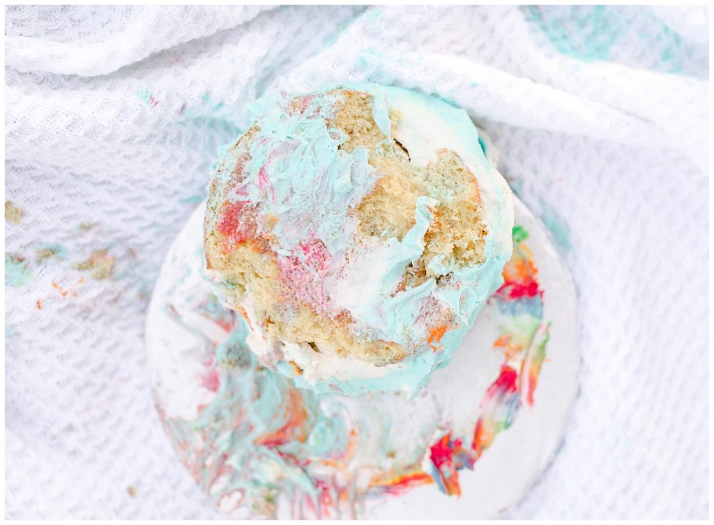 the aftermath of time flies cake smash in Northern Virginia